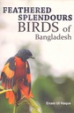 Feathered Splendours: Birds of Bangladesh