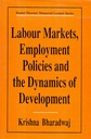 Daniel Thorner Memorial Lecture Series: Labour Markets, Employment Policies and the Dynamics of Development