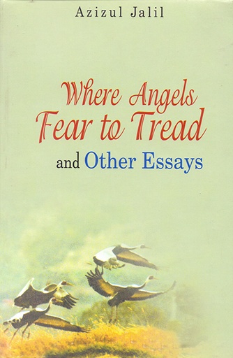 [9789840517855] Where Angels Fear to Tread and Other Essays